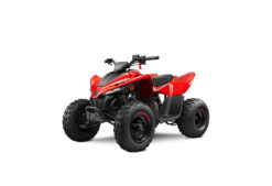 CFMOTO CFORCE 110